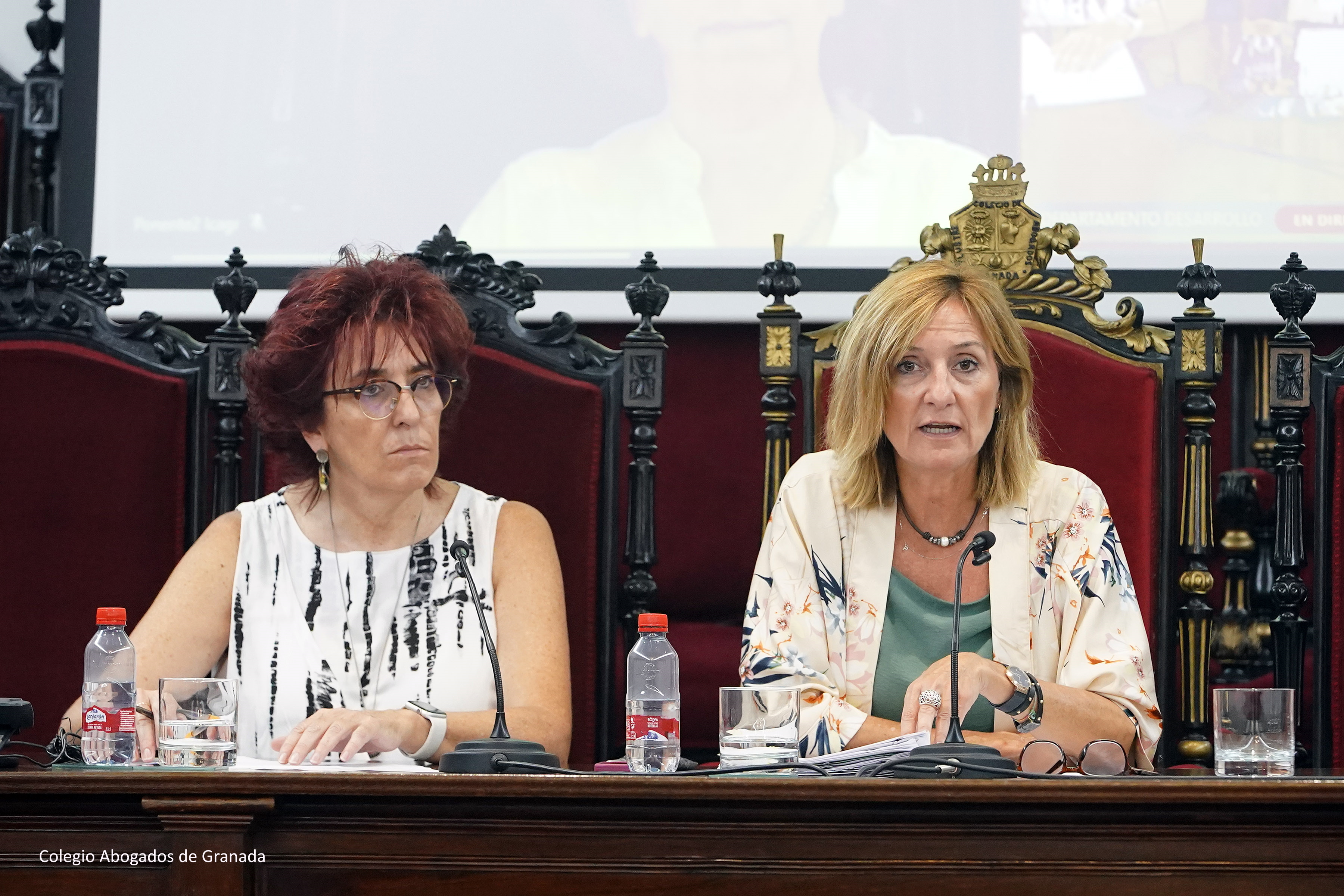 Patricia Bárcena imparte una conferencia en el Colegio de Abogados de Granada