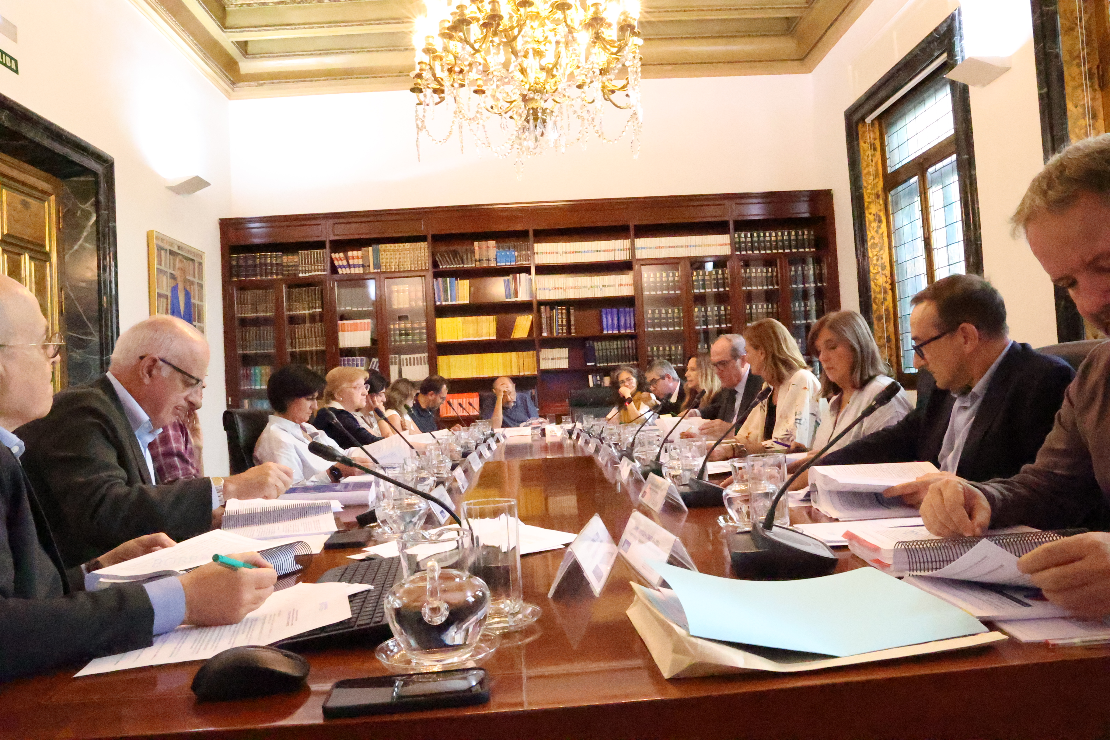 Reunión de la Comisión Asesora