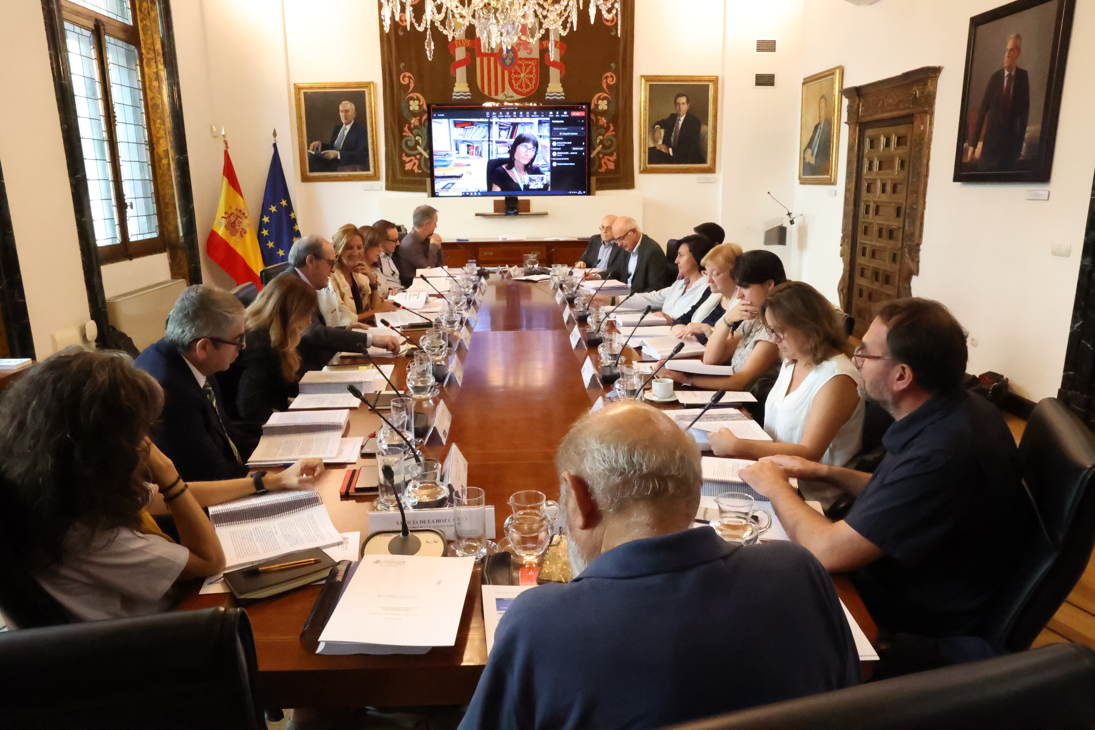 Reunión Comisión Asesora