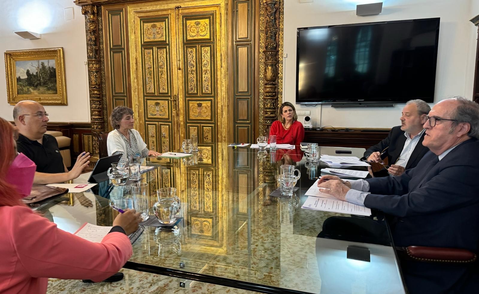 El Defensor del Pueblo, Ángel Gabilondo, reunido con representantes de la asociación Covid Persistente
